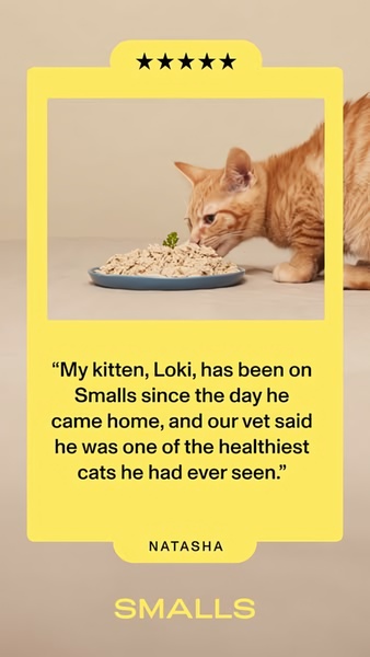 A high-performing 9:16 vertical testimonial ad for cat food featuring a five-star rating and a direct customer quote.